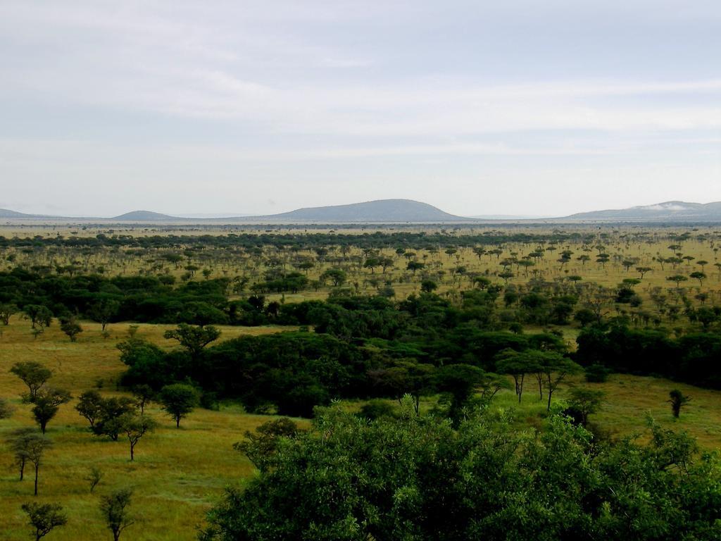 Mbalageti Serengeti Kültér fotó