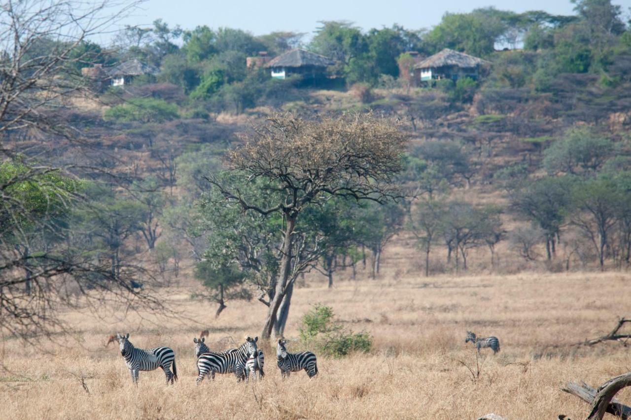Mbalageti Serengeti Kültér fotó